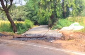 महिला सरपंच ने किया अपने पद का दुरुपयोग