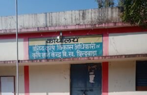 किसानों को घुन लगा गेहूं का बीज बांट रहा विभाग