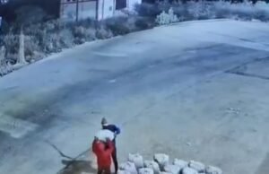 कुसमेली मंडी के गार्ड करवा रहे अनाज की चोरिया