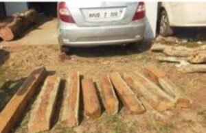 घर में बैठकर हो रही जंगल की सुरक्षा !