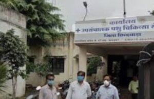 स्मॉल होल्डर पोल्ट्री के बाद अब पशु चिकित्सा विभाग में बिजली घोटाला