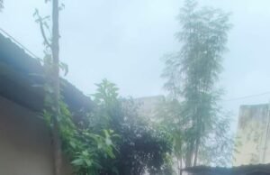 निगम के साहब को वाहन प्रेम या ठेकेदार का वरदान?