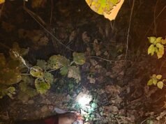 गुमतरा में टाइगर का कहर, युवक की मौत