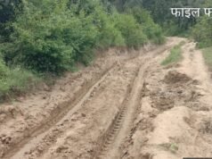 जंगल के रक्षक बने तस्करो के साझेदार !