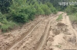 जंगल के रक्षक बने तस्करो के साझेदार !