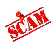 सबूतों पर पर्दा, DFO की मेहरबानी जारी !