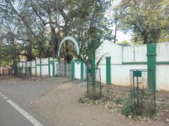 कार्यालय के सामने हरियाली का ढोंग !