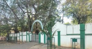 कार्यालय के सामने हरियाली का ढोंग !