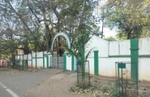 कार्यालय के सामने हरियाली का ढोंग !