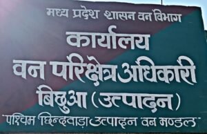 अपनी करतूत पर पर्दा डालने में जुटे वन अधिकारी, शिकायतकर्ता से ही मांग रहे सबूत !