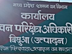 दो वनकर्मियों की जोड़ी ने कर दिया कमाल !