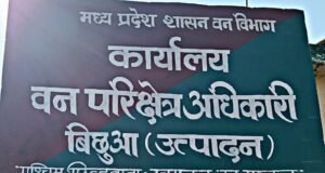 दो वनकर्मियों की जोड़ी ने कर दिया कमाल !