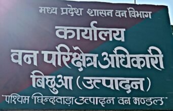 दो वनकर्मियों की जोड़ी ने कर दिया कमाल !