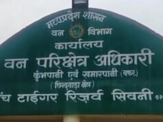 जंगल में मिला जला कंकाल, बिना जांच अफसर बोले—‘मवेशी’ !