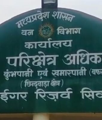 जंगल में मिला जला कंकाल, बिना जांच अफसर बोले—‘मवेशी’ !