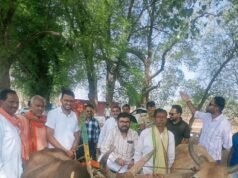 सांसद का देशी अंदाज- बैलगाड़ी राइडिंग कर परखी सावरवानी की खूबसूरती