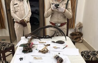 एक करोड़ की लालच में बाघ का कत्ल, 30 लाख में हुआ था सौदा !