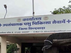 पशु चिकित्सा विभाग में ‘साहब का कानून’!