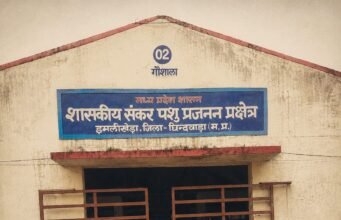 सरकारी डेयरी फार्म में ‘रिश्तेदारी राज’ !